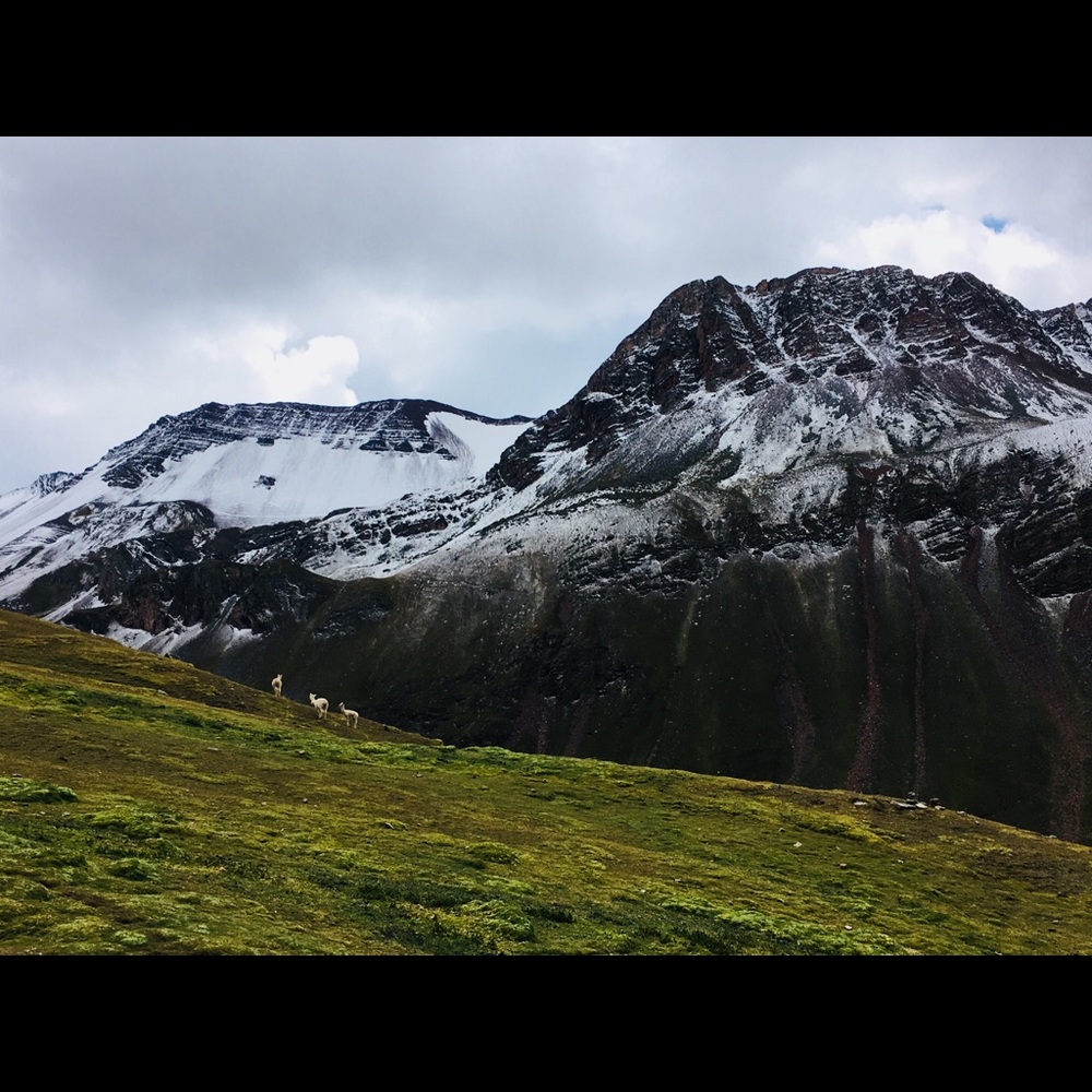 Meet your Posher, Kris